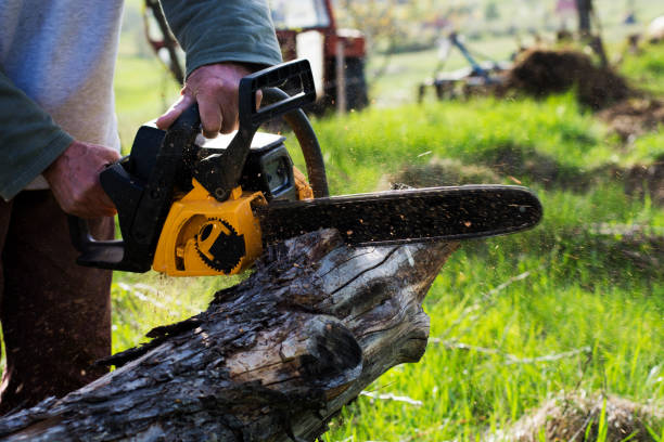 How Our Tree Care Process Works  in  West Liberty, IA